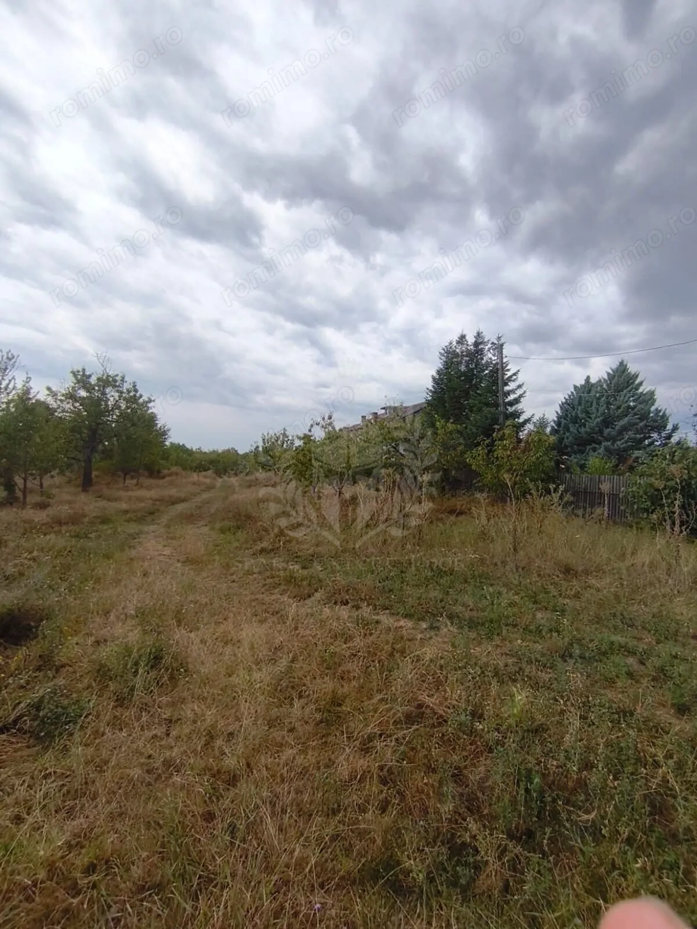 TEREN PAULESTI//17211 MP// INTRAVILAN