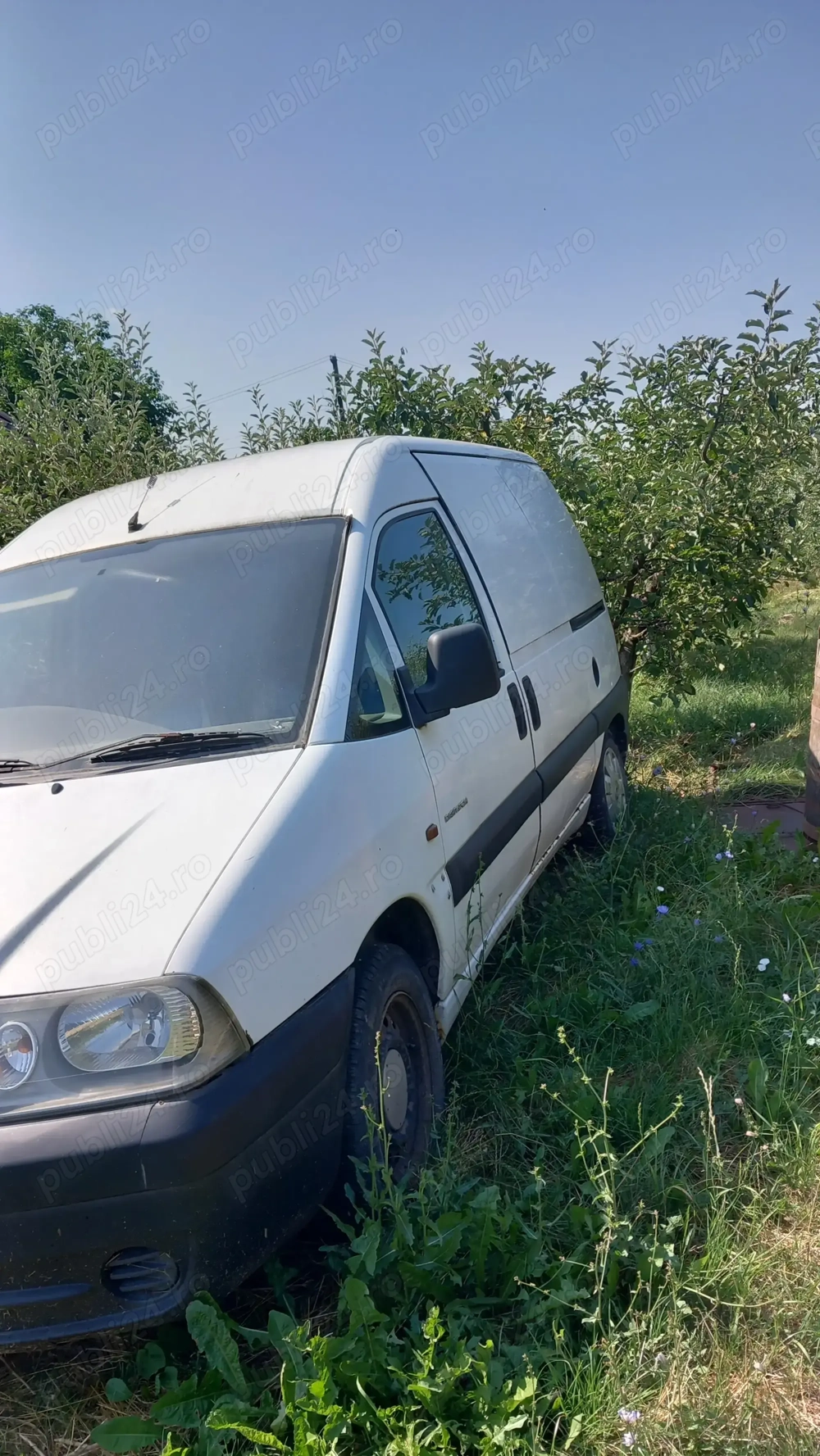 Vand duba Citroen Dispatch _ an fabricatie 2006