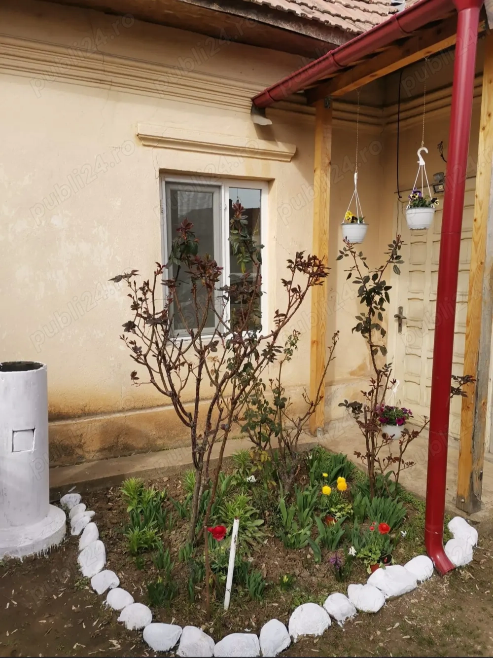 Vand casa in Caracal