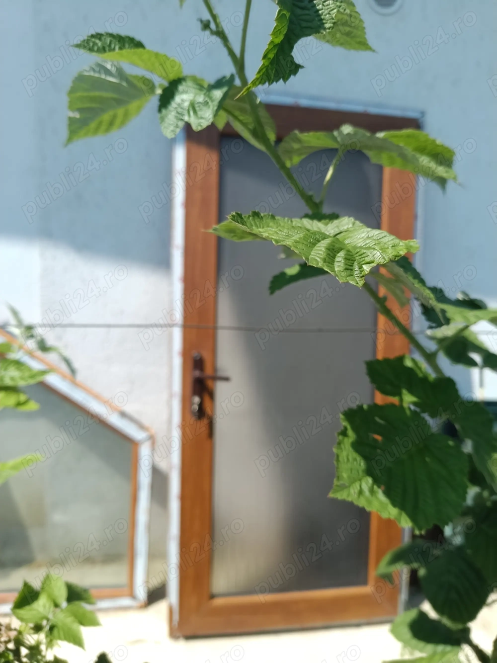 Vând ușa și fereastră de termopan 