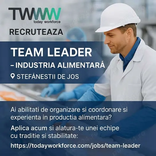Team Leader- Industria Alimentara