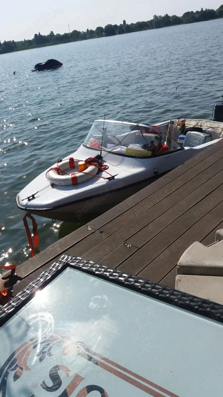   barca cu motor 