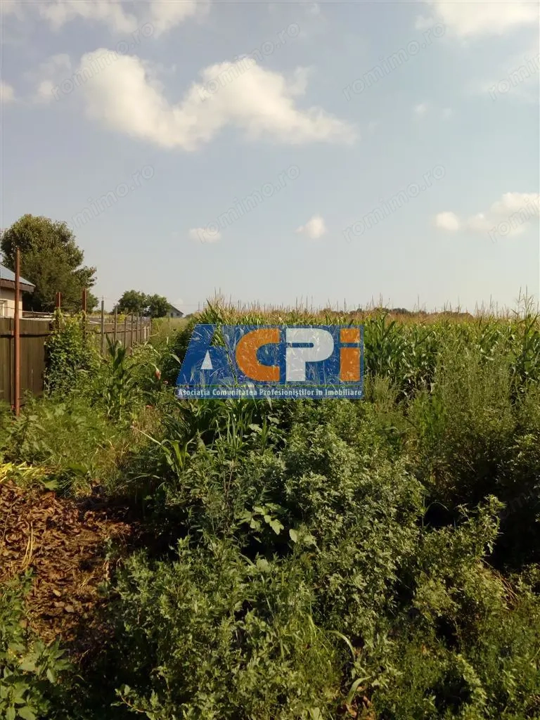 Vanzare Teren Serbanesti, Bacau