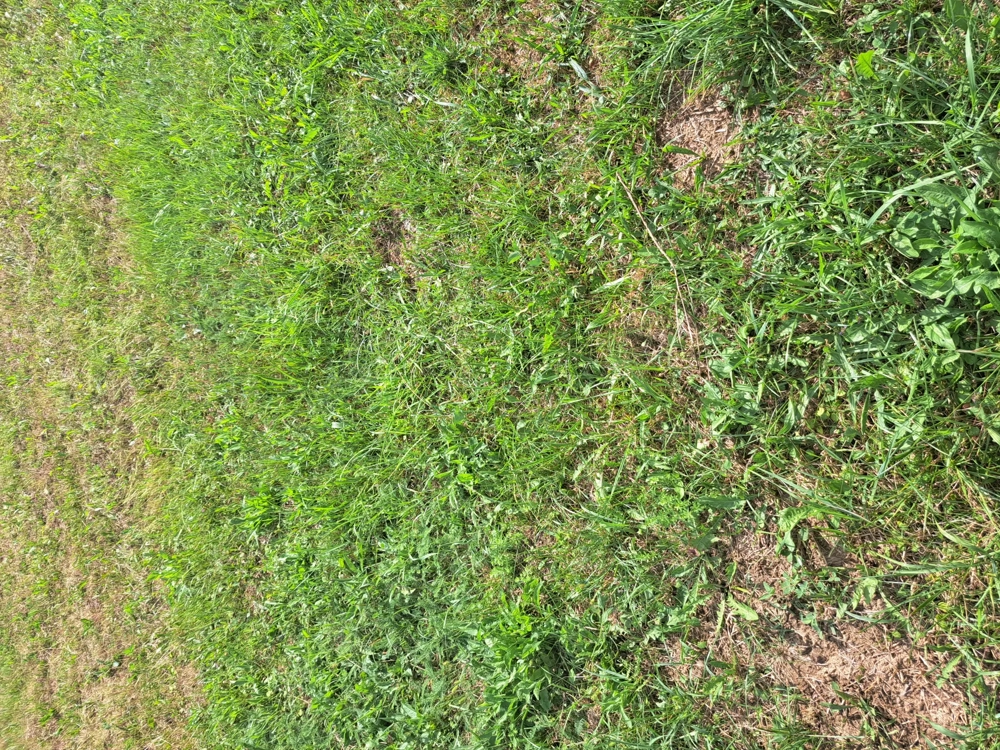 Teren de vinzare  Teren de vinzare