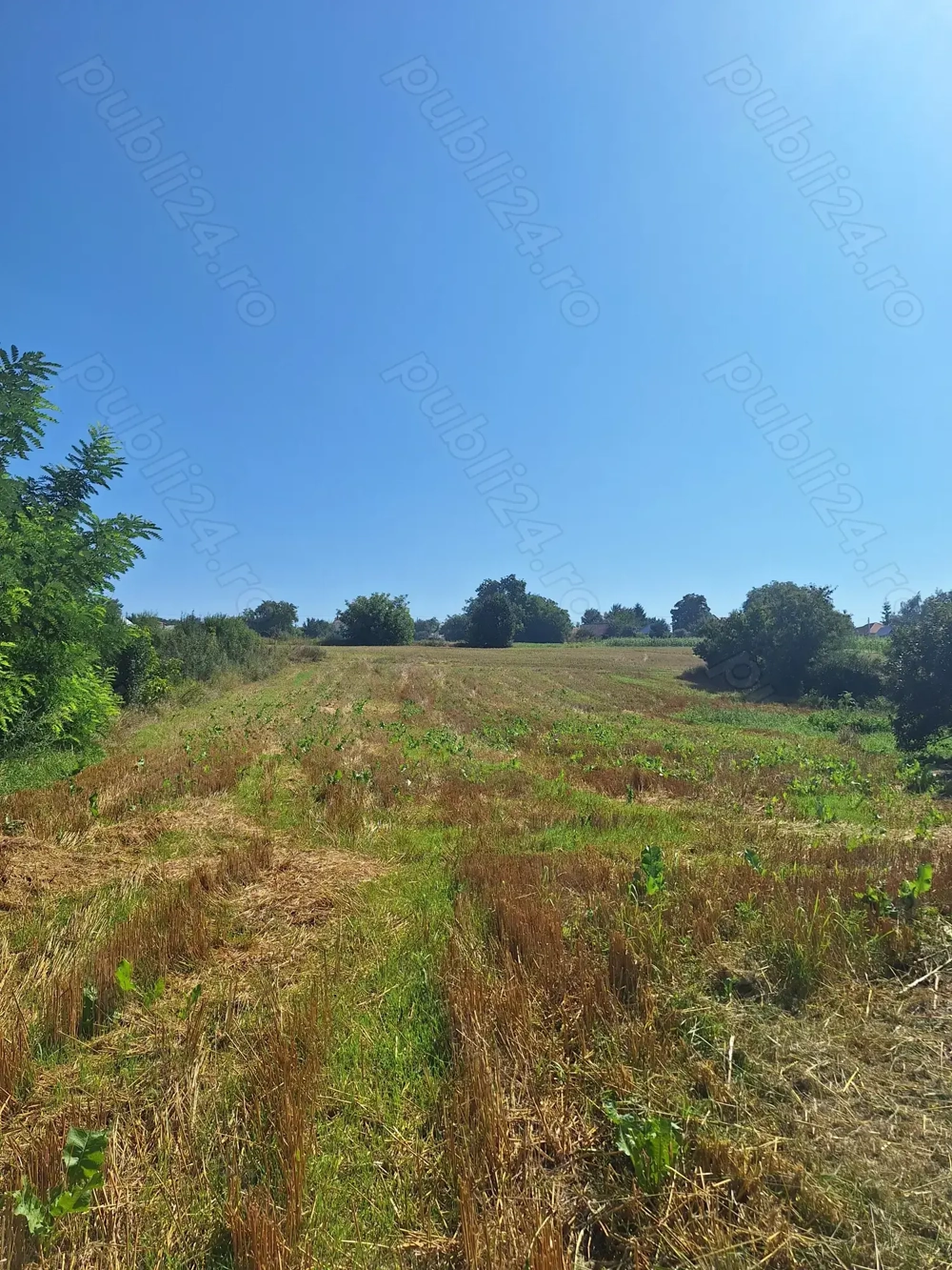 Vând teren sat Stefan cel mare