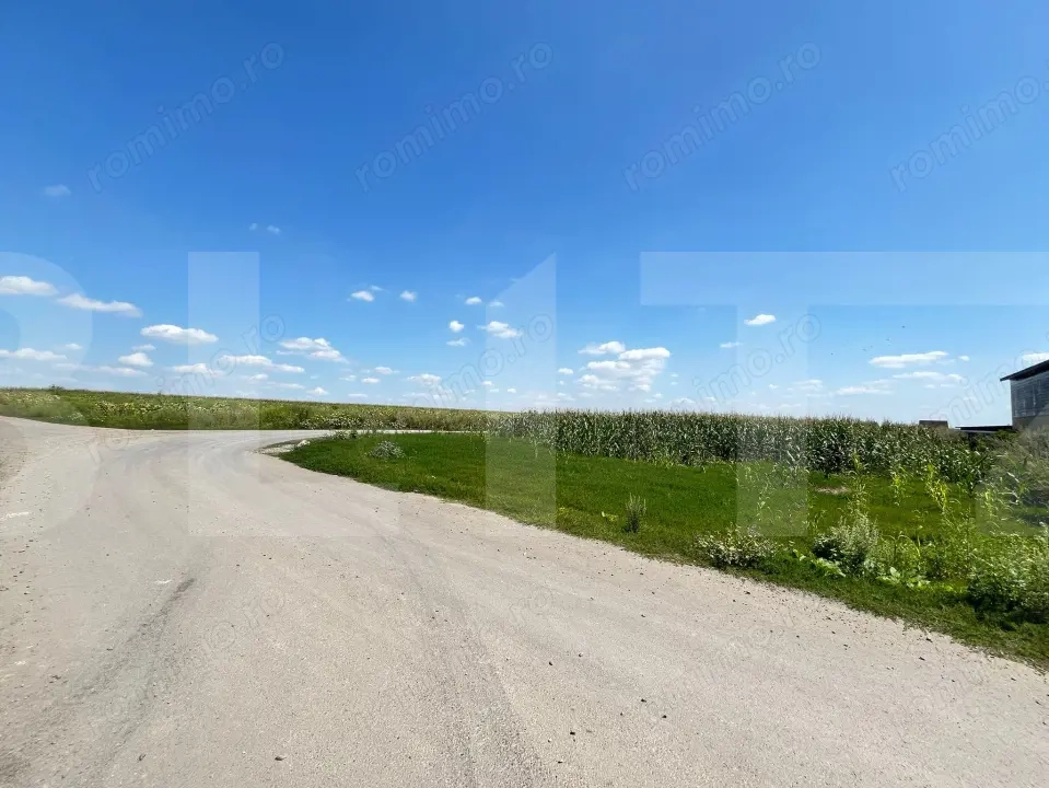 Teren intravilan 3000mp Catamarasti Deal 