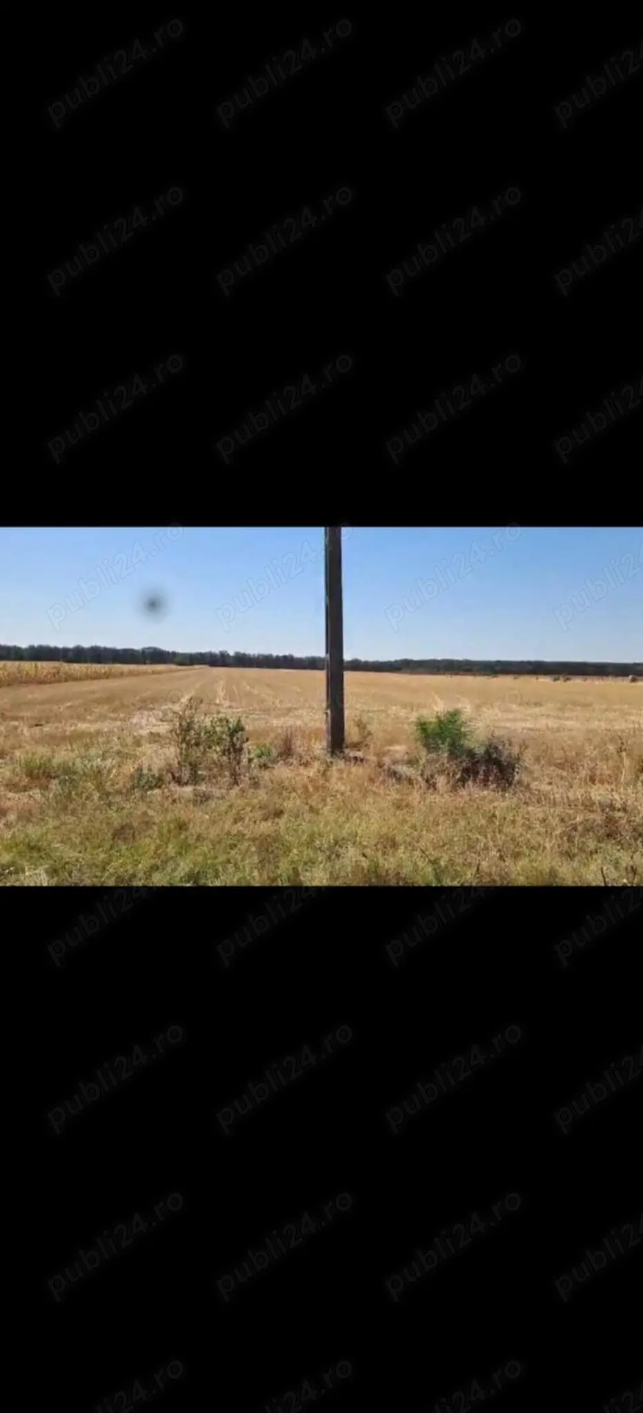 Teren Bucovat, sat Carligei