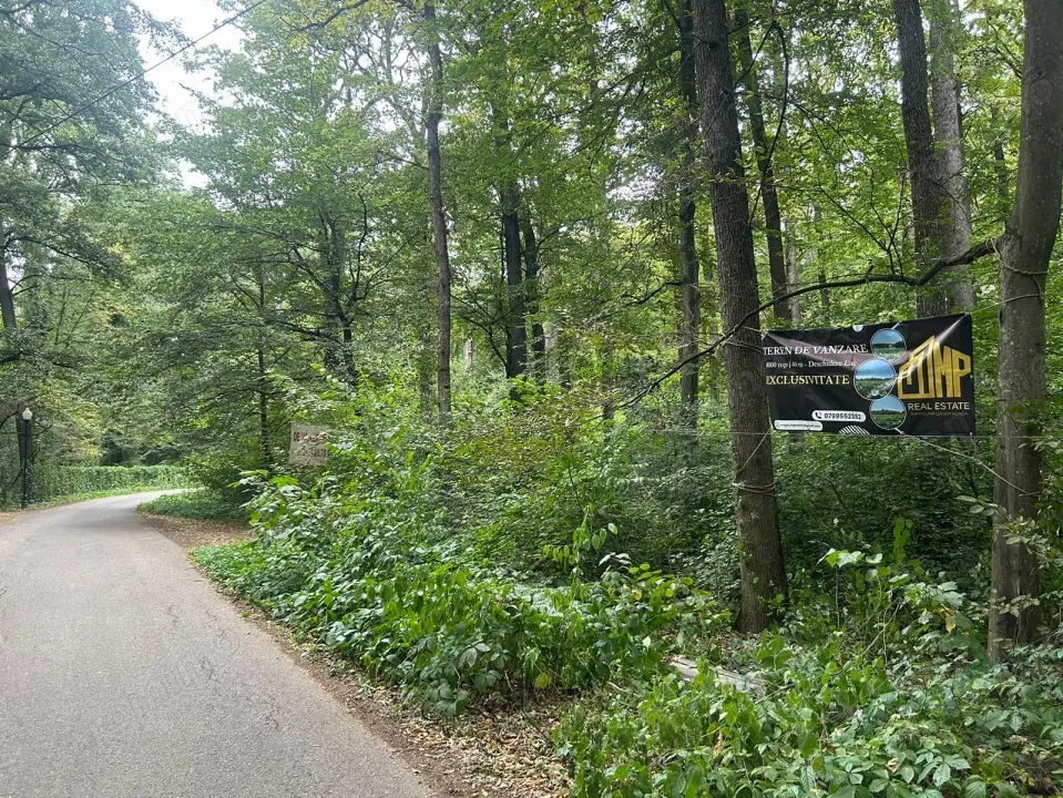 Teren de Vis pe malul lacului Snagov / 4000 mp in inima Naturii /40 m deschidere