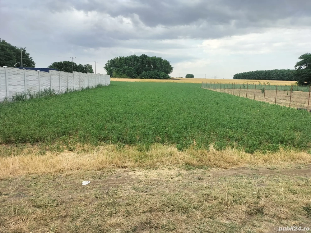 Vand teren intravilan 1000mp