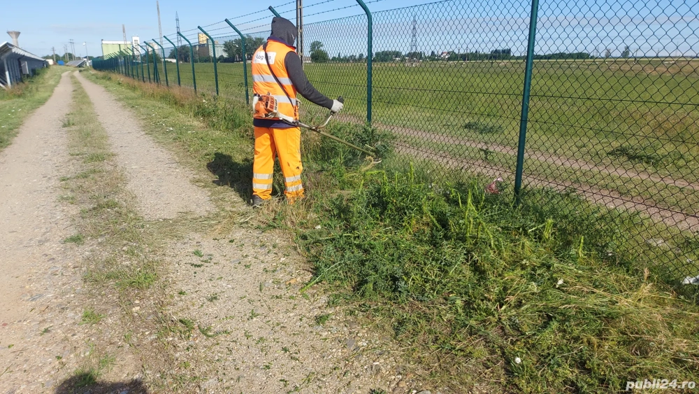 Intretinere peisagistica