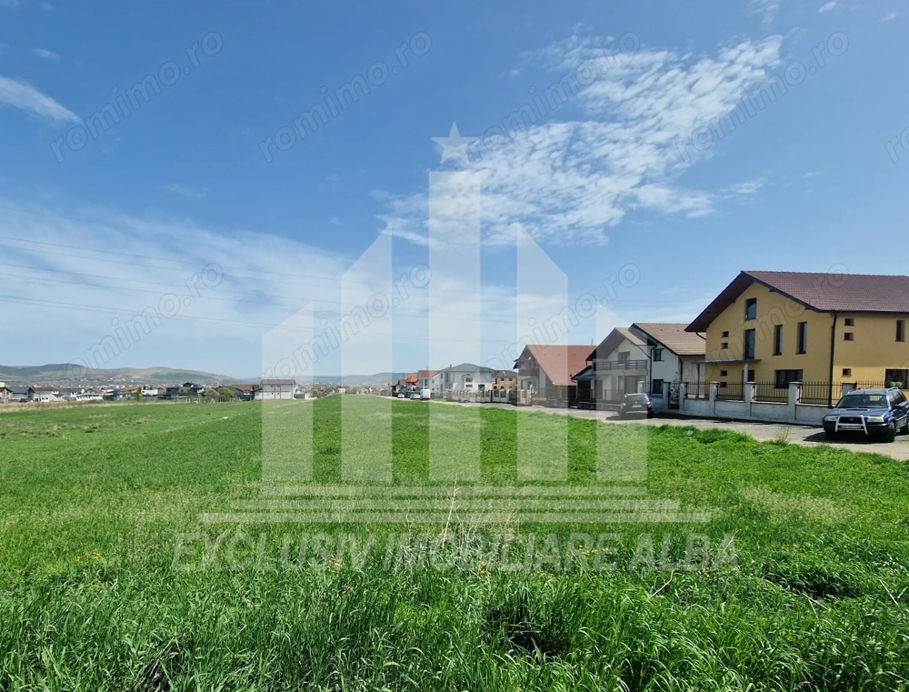 Teren de vanzare intre Alba-Micesti in apropiere de Valea Popii Teren de vanzare intre Alba-Micesti in apropiere de Valea Popii