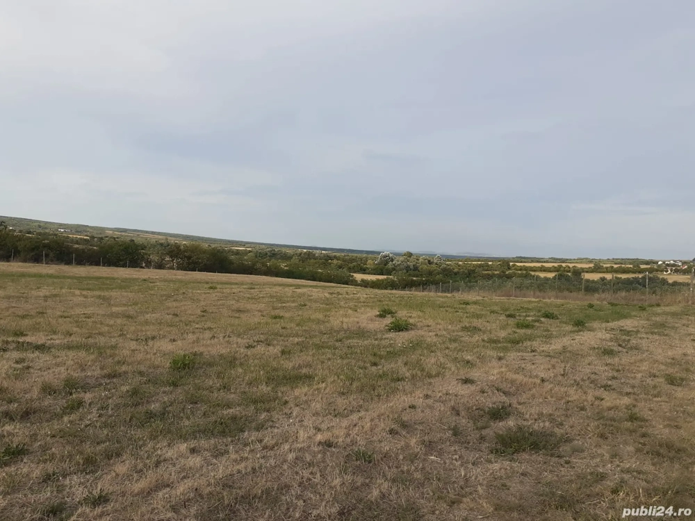 Vand teren intravilan in comuna Bucov