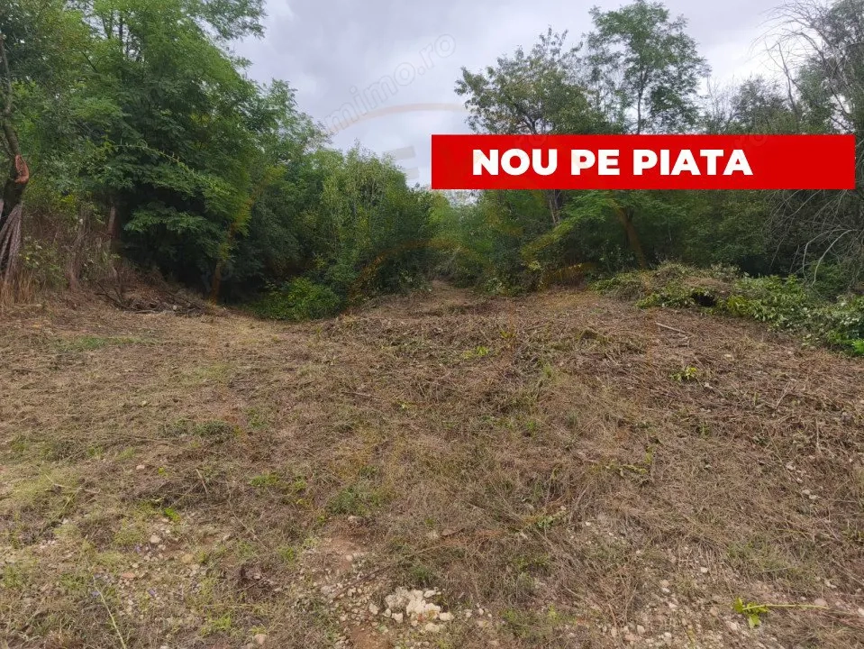 Teren intravilan Mosoaia - Hintesti