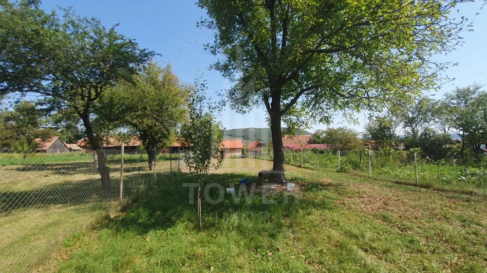 Casă spațioasă de vânzare în comuna Roșia .COMISION 0%