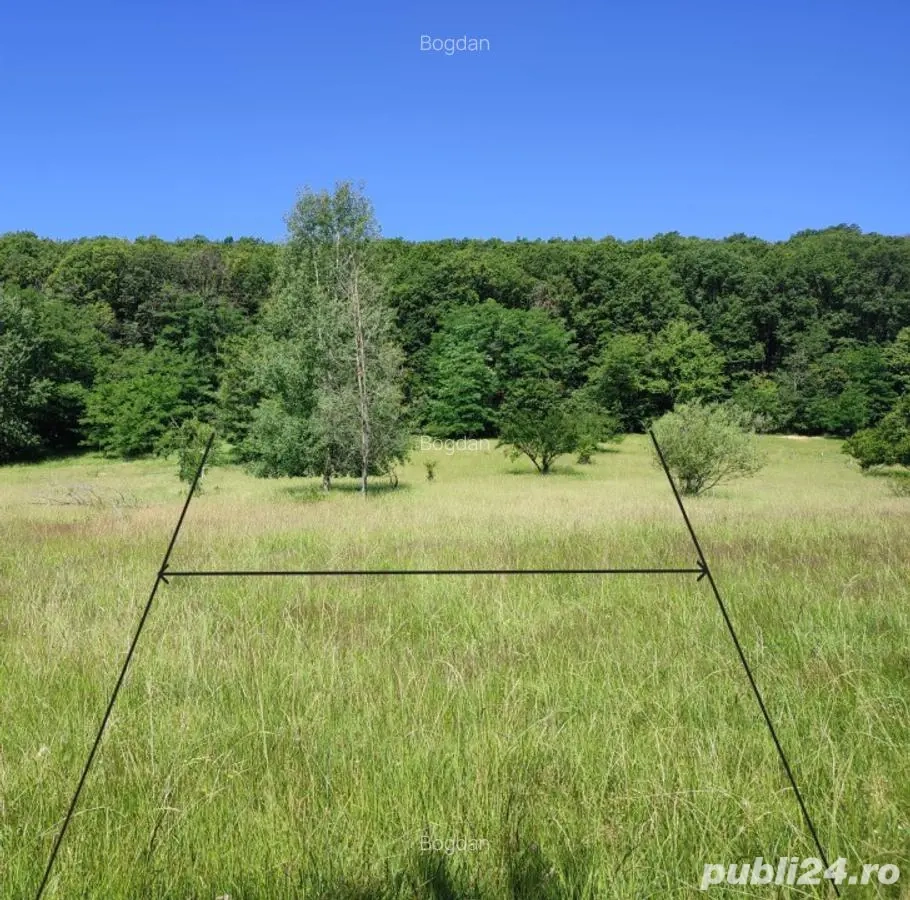 Teren extravilan Pietrosani, Arges