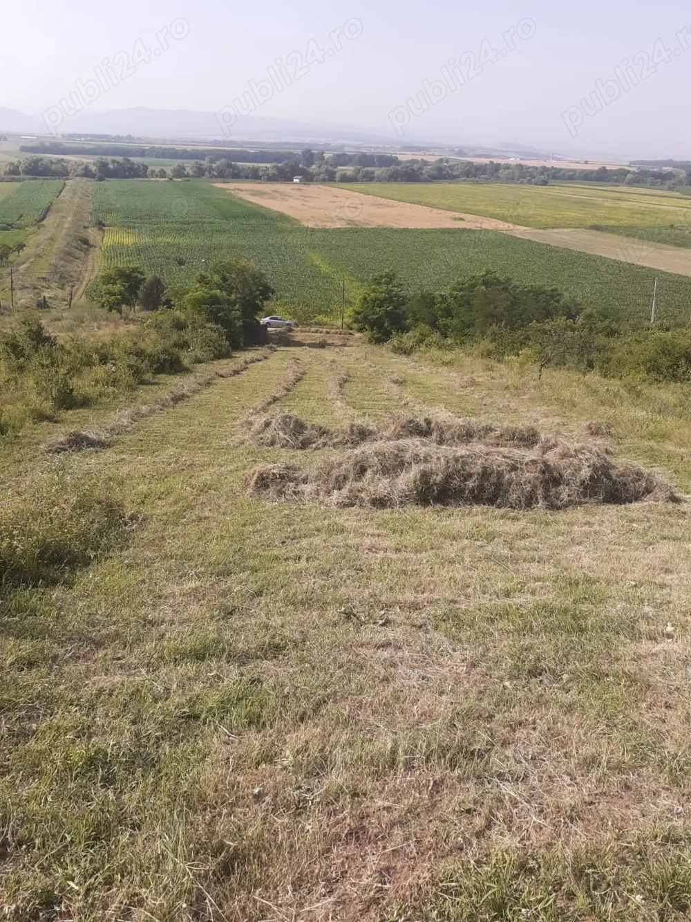 Vând teren intravilan Vurpăr Vând teren intravilan Vurpăr