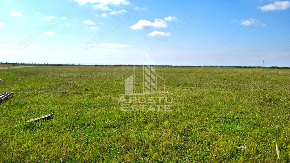 Teren Intravilan cu PUZ, ideala pentru Dezvoltatori