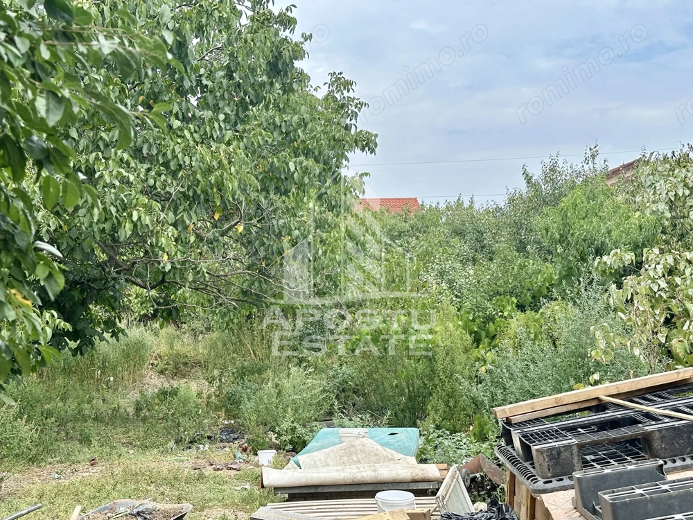 Teren 1084 mp in Dumbravita, vatra satului