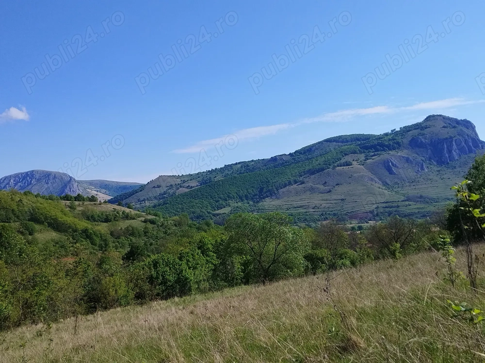 Teren de vânzare Vălișoara, Alba Teren de vânzare Vălișoara, Alba