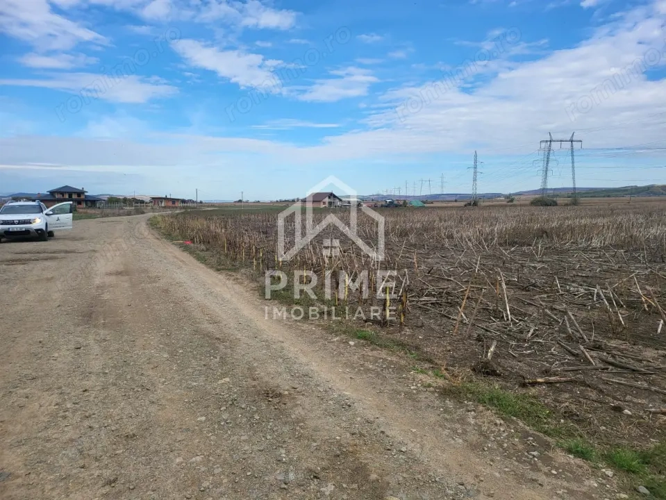 Teren de vanzare in Oarda de Jos , 8300  mp din care 2700 mp intravilan 