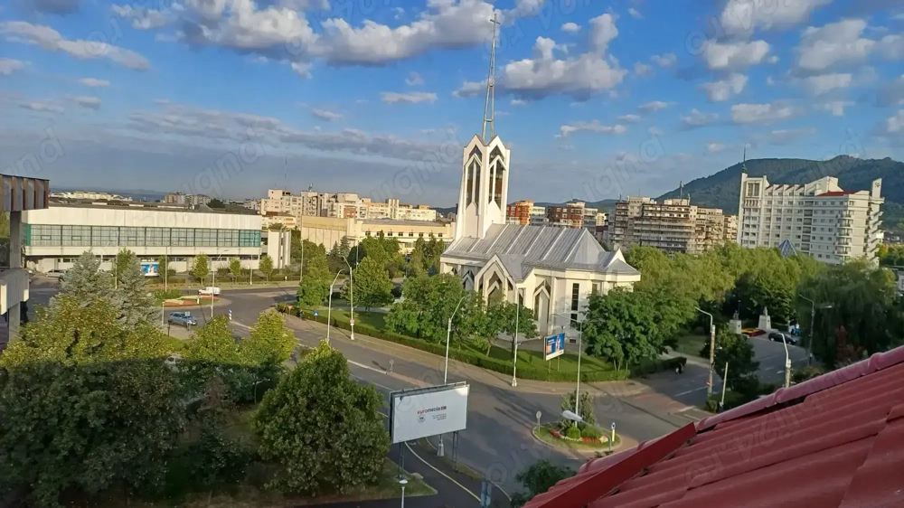 Pet sitting   cazare animale de companie Baia Mare