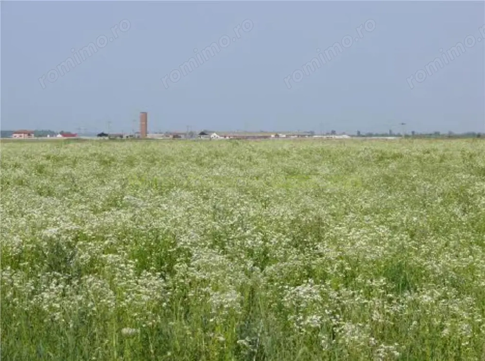Teren 70 000 mp pretabil FOTOVOLTAIC de vanzare in Titu, jud Dambovita, negociabil
