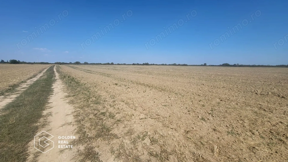 Teren Mosnita Noua, 11600 mp