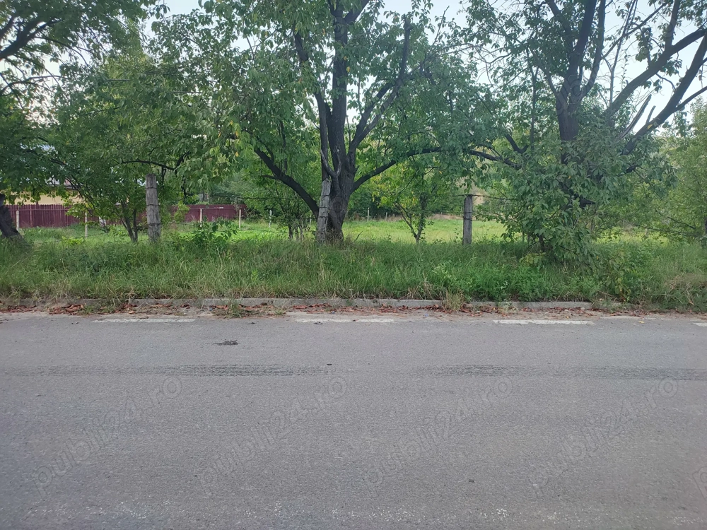 Teren Bârnova Iași 