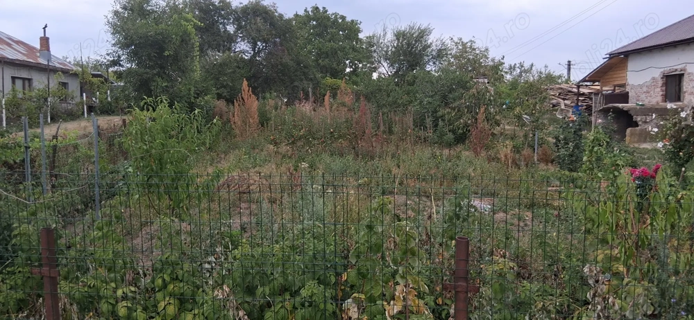 Teren 800 mp zona linistita 