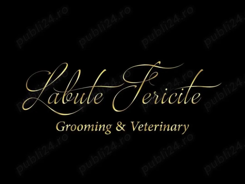 Angajare Medic Veterinar