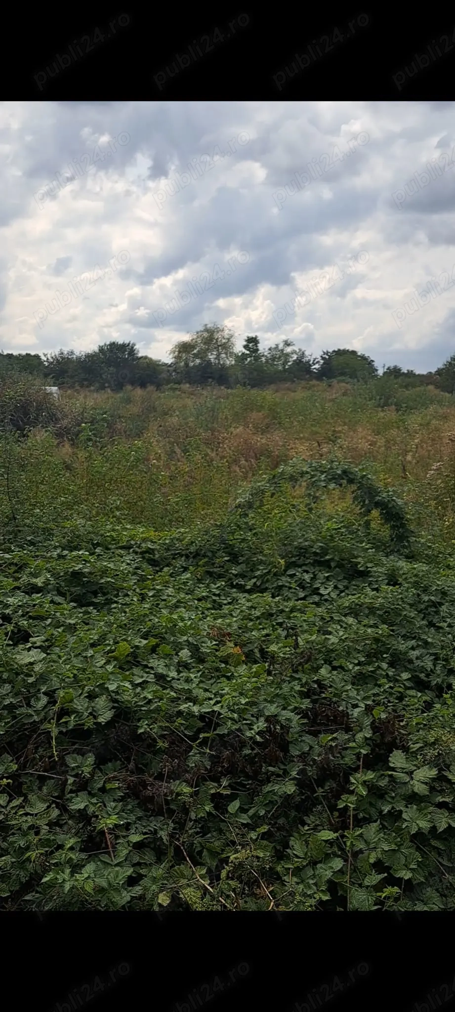 Teren industrial intravilan Bocsa