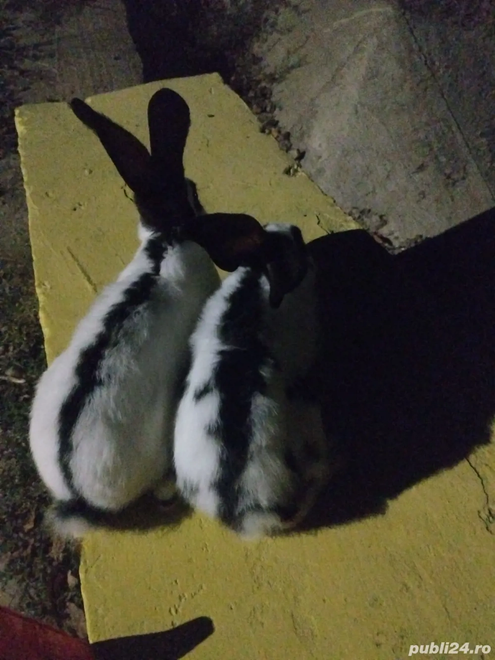 vand schimb vand schimb