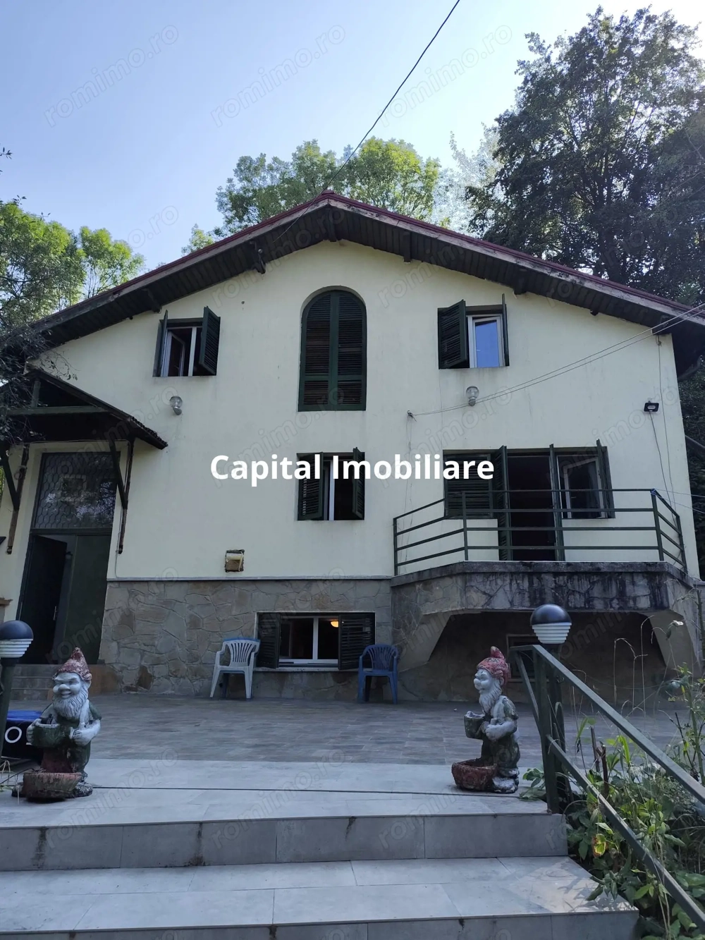 Vila superba 7 camere, Provita de Jos, 22.000 mp teren