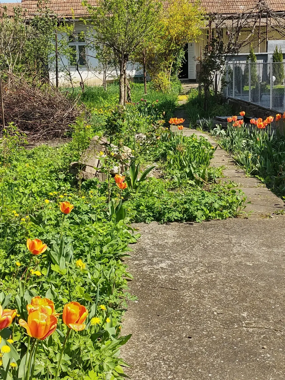 Casă cu teren 650 mp în zonă ultracentrală pentru locuit sau activități comerciale