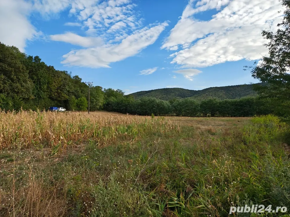 Vand teren agricol la padure, langa Cetatuia!