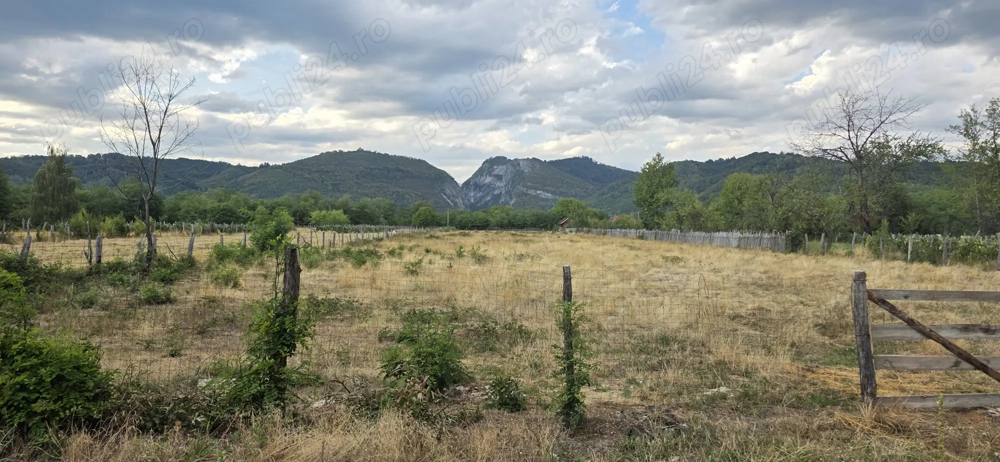 Teren Polovragi 8510mp