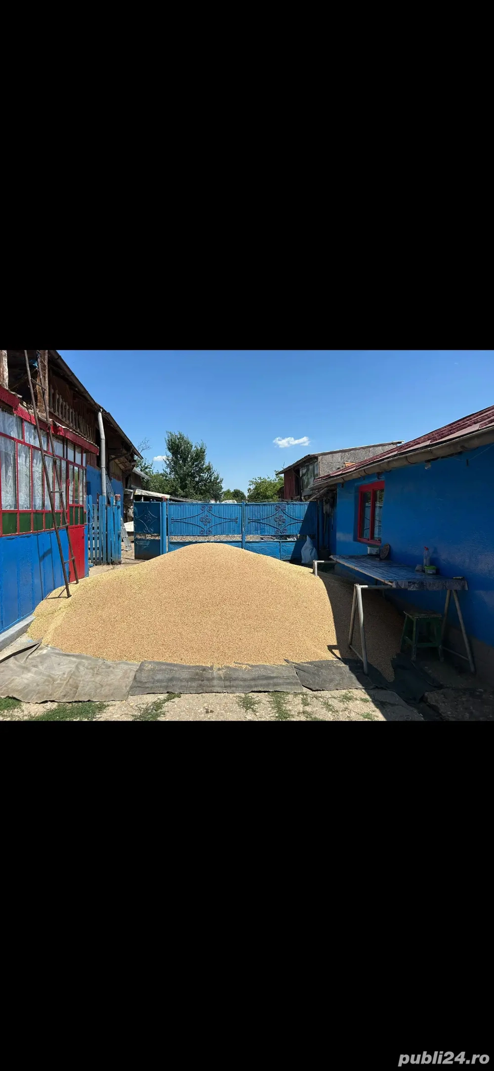 Vând grau!