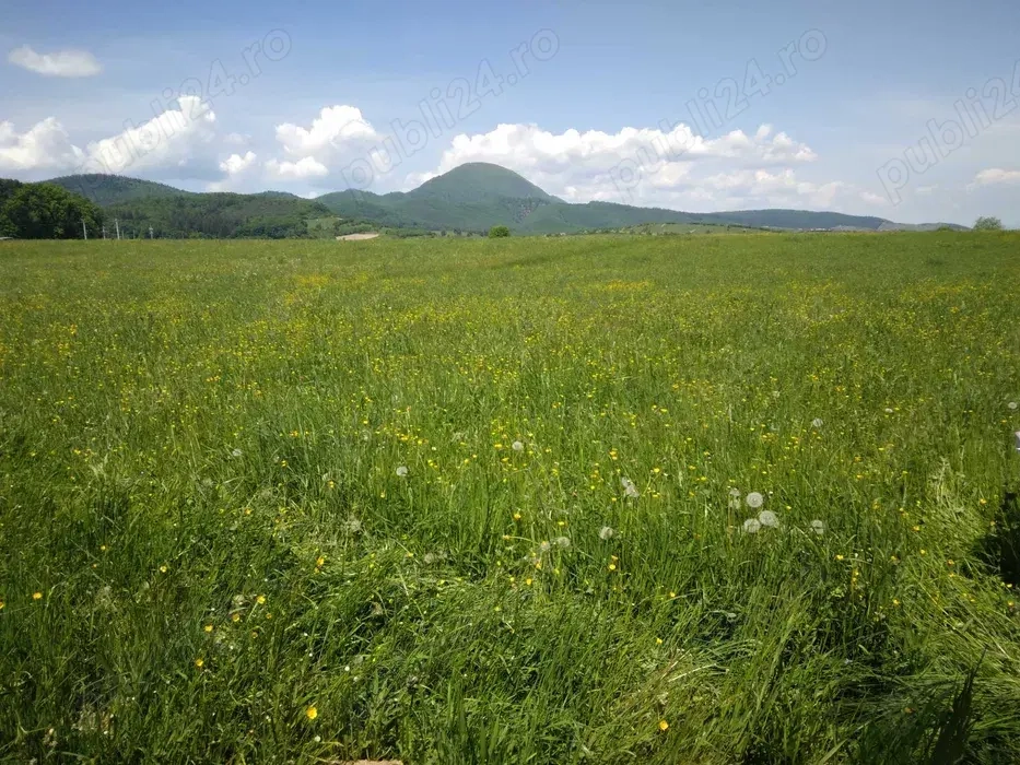 Teren 1.000 Mp | Cabana, Casă de Vacanță, Grădină | Vulcan, Mina 1 Mai
