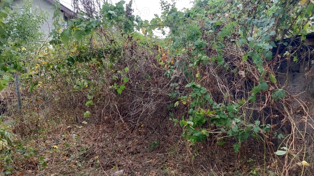 teren intravilan pt locuinta, ultracentral