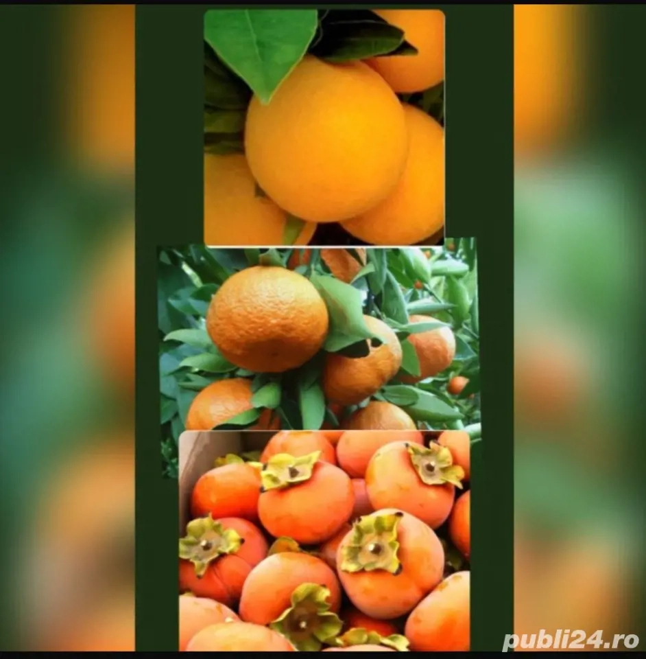 portocale si mandarine