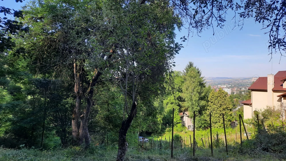 Vand teren intravilan la Platoul-Cornesti S=5124mp.