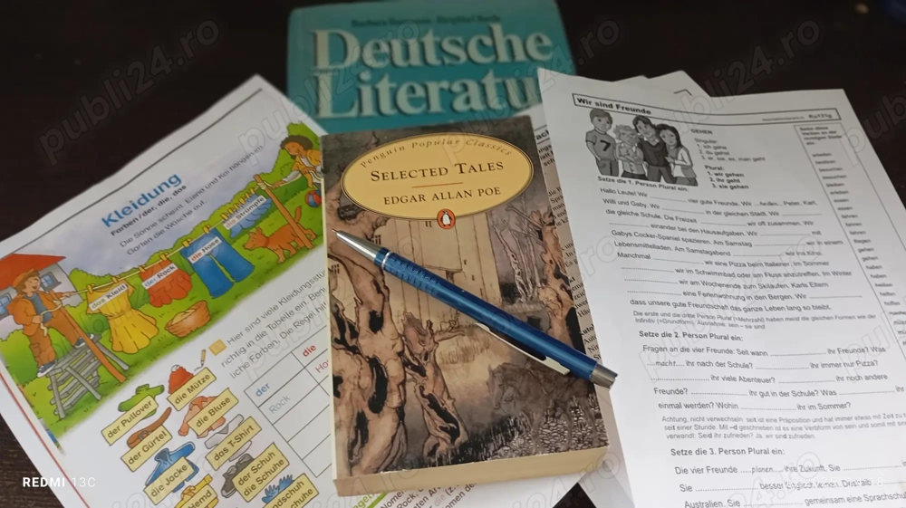 Meditaţii LIMBA ENGLEZĂ ŞI LIMBA GERMANĂ, coordonate de un profesor dedicat