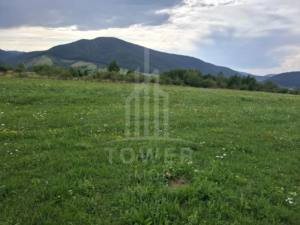 Teren la Orlat cu vedere spre munti