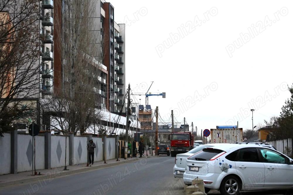 Theodor Pallady - Policolor, teren 3700mp