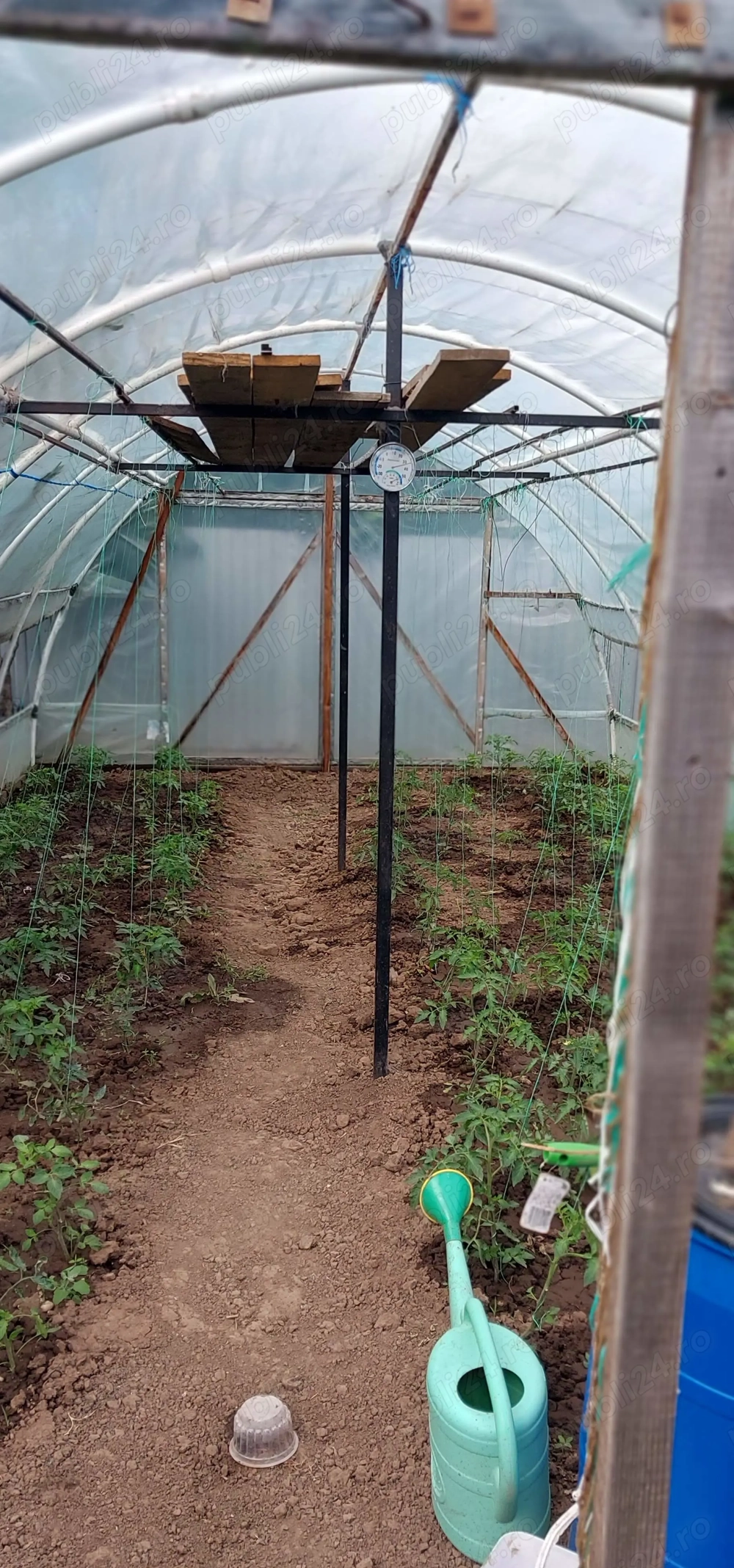 vand sera 8x4 metri si bazin ibc cu stativ inaltime pentru irigat