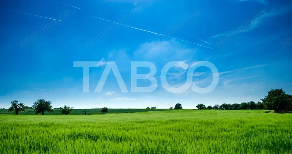 Teren de vanzare 9369 mp langa viitoarea centura Sud a Sibiului