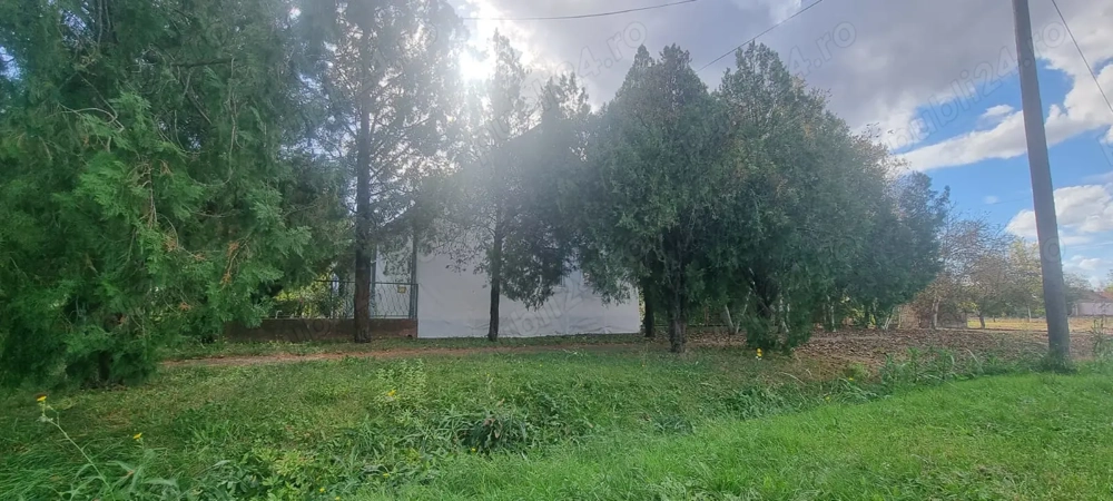 Casă de vânzare în Serbia, sat Vojvoda Stepa (10 minute de vama cu Jimbolia) Casă de vânzare în Serbia, sat Vojvoda Stepa (10 minute de vama cu Jimbolia)