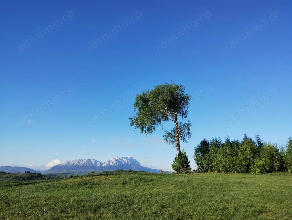 Teren extravilan de vanzare