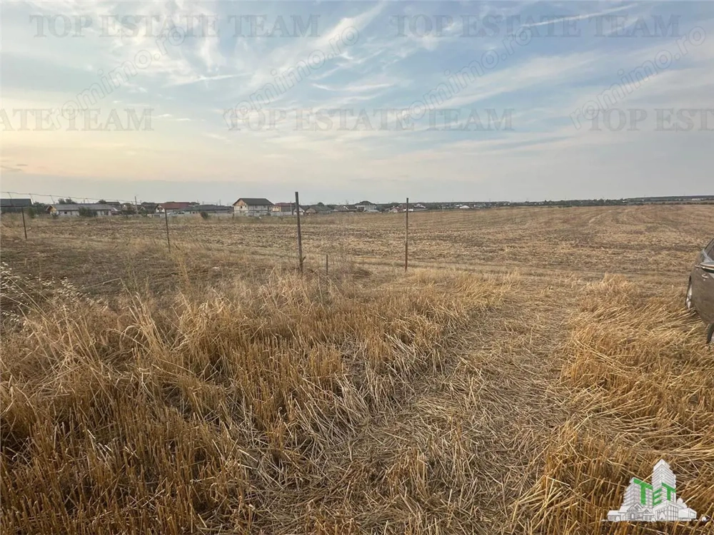 TEREN 2500MP BALACEANCA