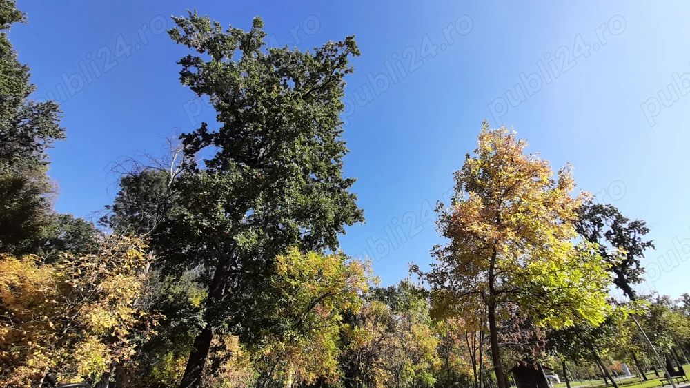 Vând teren extravilan 